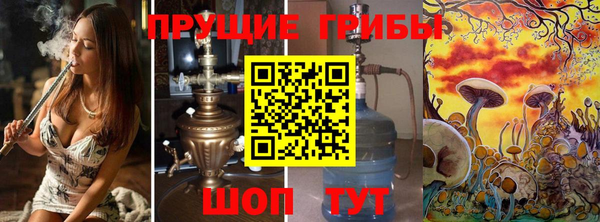 Псилоцибиновые грибы Cubensis  Вход с VPN  Химки 